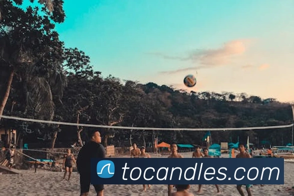 星空体育服务体系